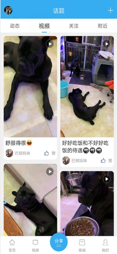 猛犬俱乐部