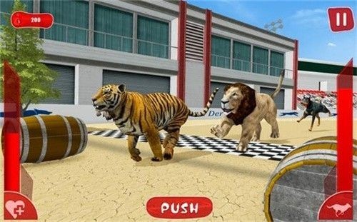 lion race 3d(狮子赛跑3d)