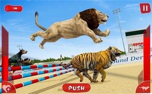 lion race 3d(狮子赛跑3d)