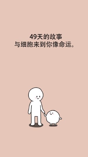 我和细胞的49天生活