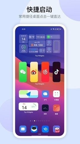 正版top widgets