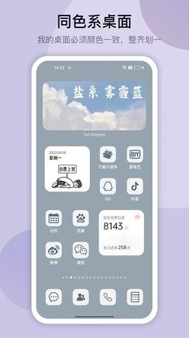 正版top widgets